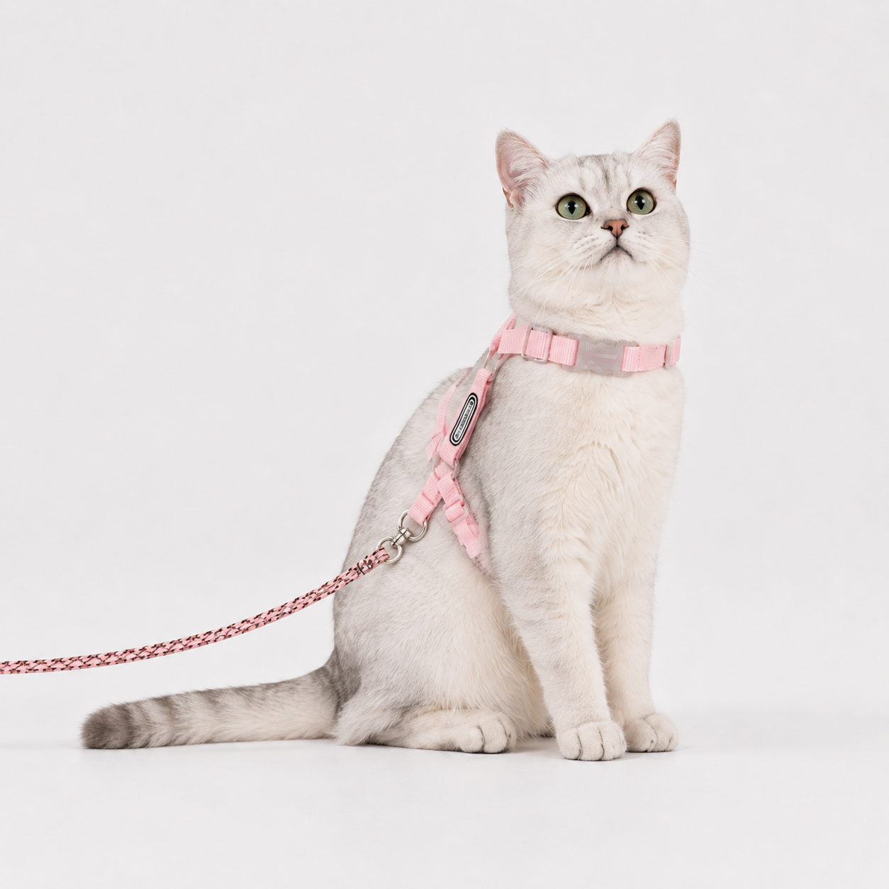 Escape-Proof Cat Harness & Leash Set