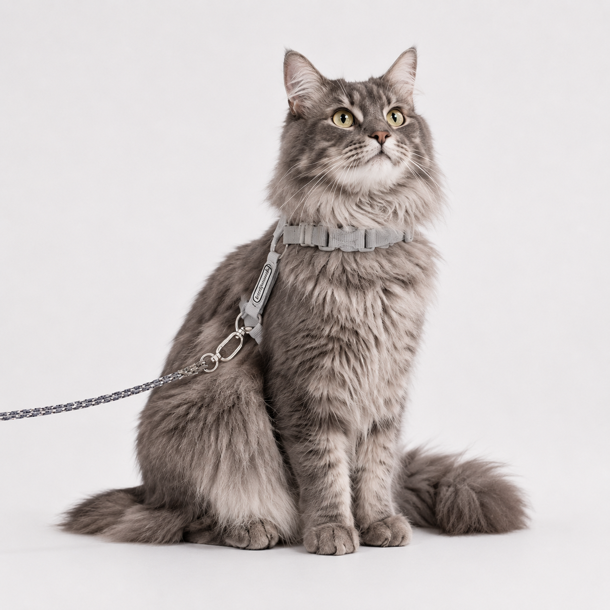 Escape-Proof Cat Harness & Leash Set
