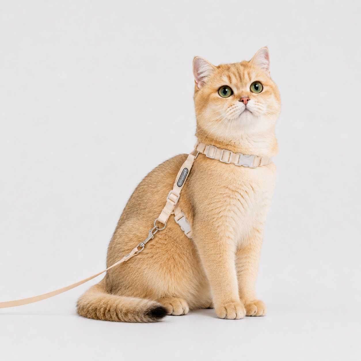 Escape-Proof Cat Harness & Leash Set