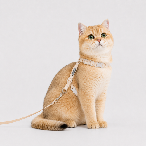 Escape-Proof Cat Harness & Leash Set