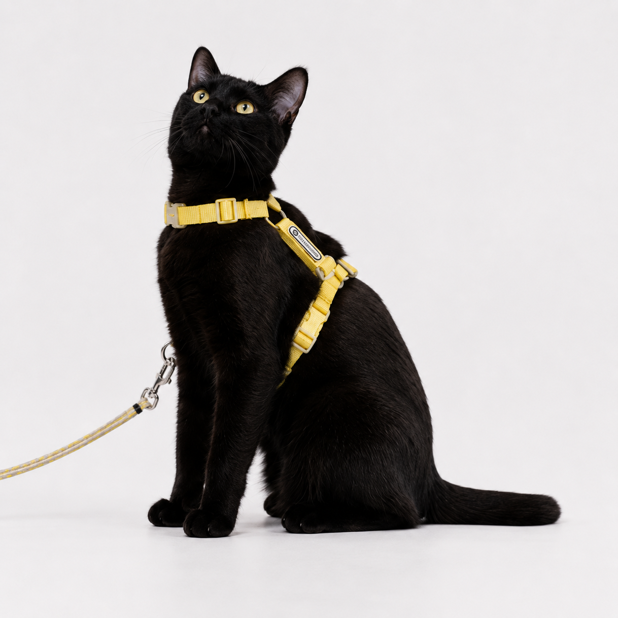 Escape-Proof Cat Harness & Leash Set